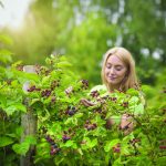 article image - 